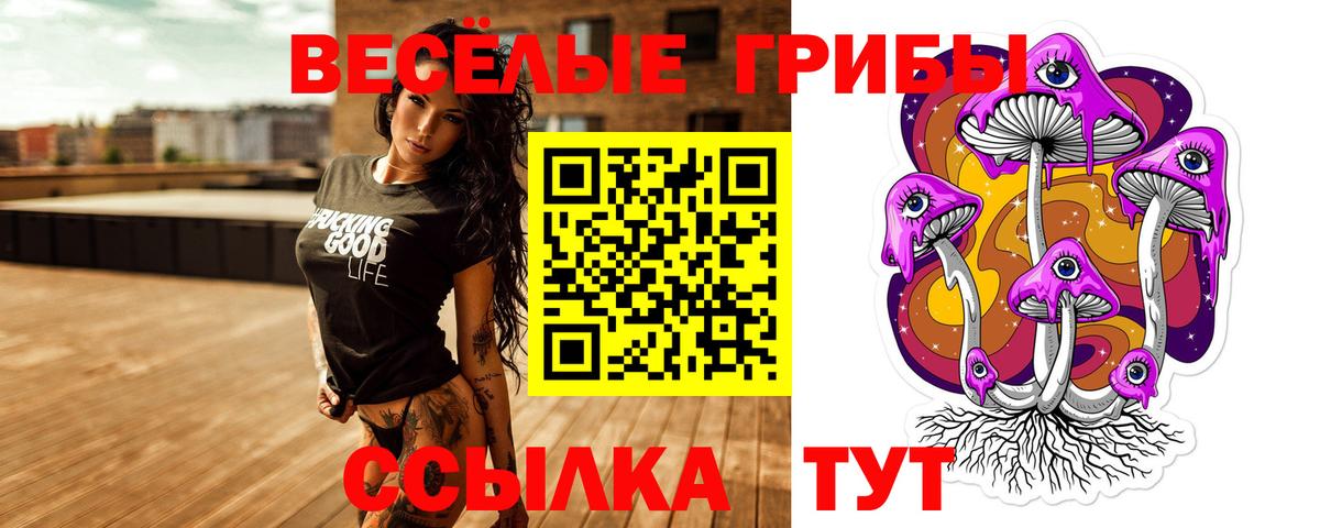 Зеленогорск  Галлюциногенные грибы Psilocybe  Вход с VPN 